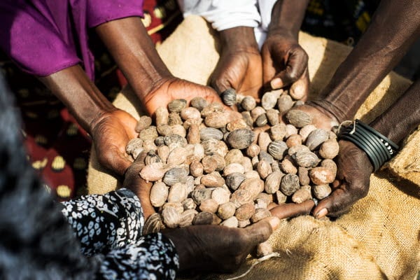 AAK weighing shea december 2018 Charlotte Kropholl (2)