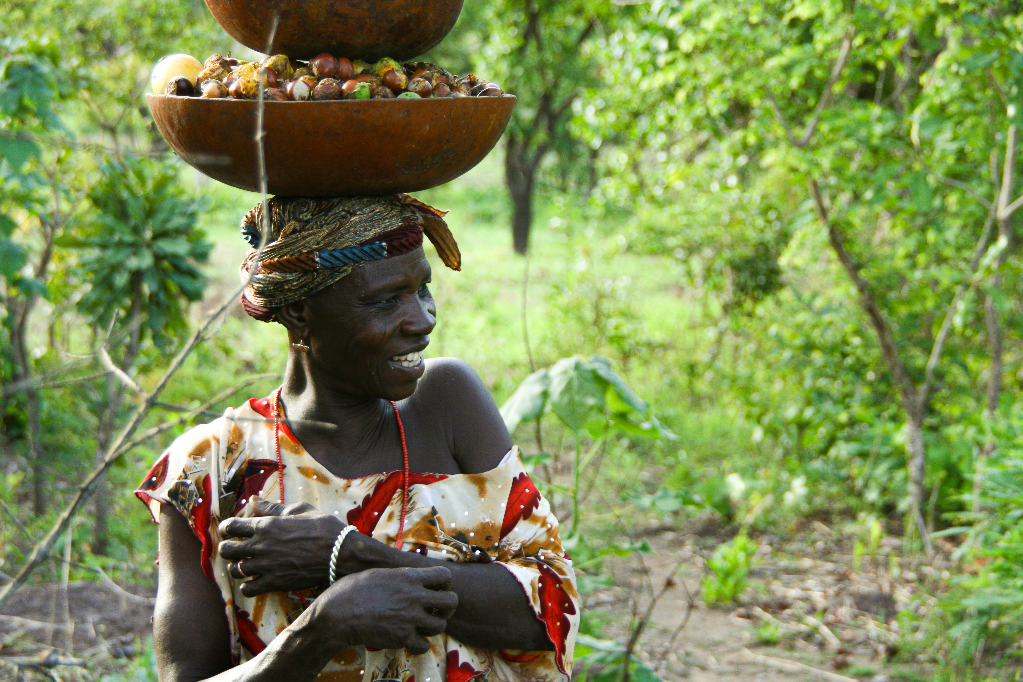 shea plockning 108 (1)-2